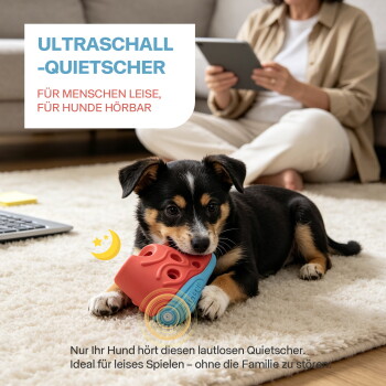 Welpe kaut auf einem rot-blauen Spielzeug auf dem Teppich, Person im Hintergrund; Banner lautet 'ULTRASCHALL-QUIETSCHER' (für Menschen leise).