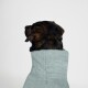 Ein brauner und schwarzer Hund, eingewickelt in ein weiches, hellblaues Handtuch, das von der Kamera abgewandt ist, vor einem schlichten weißen Hintergrund.