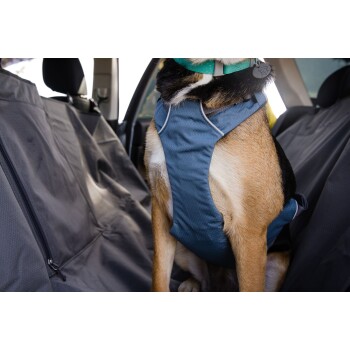 Ruffwear Auto Sicherheitsgeschirr Load Up M FRESSNAPF