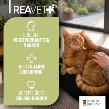 Etikett für Reavet Ohrmilben Öl Plus, mit einer Abbildung einer orangefarbenen Katze, 50ml, mit Kamille. Gebrauchsanweisung und Lagerdetails sind enthalten.