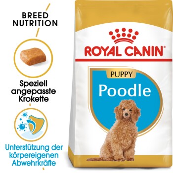 ROYAL CANIN Poodle Puppy 3kg