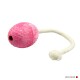 Ein pinkfarbener Gummihundespielzeug in ovaler Form mit einer strukturierten Oberfläche, befestigt an einem weißen Seil.