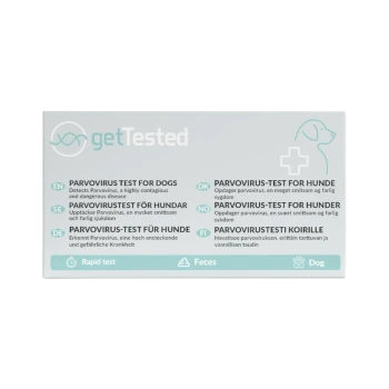 getTested Parvovirus-Testverpackung für Hunde, mehrsprachige Beschriftungen und Symbole: Schnelltest, Kot, Hund
