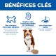 En-tête « BÉNÉFICES CLÉS » ; mentions : Niveaux d'énergie, Soutien des fonctions rénales et cardiaques, Digestion saine. Chien avec croquettes