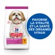 Nourriture pour chiens Hill's Science Plan pour adultes matures 7+, avec un petit chien sur le sac, avec un texte promouvant la vitalité et la santé des organes.