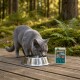 Graue Katze trinkt aus einer Metallschüssel auf einer Holzterrasse im Wald, neben einem Beutel mit der Aufschrift 'WILDERNESS' 'DARK FJORD'