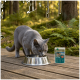 Graue Katze trinkt aus einer Metallschüssel auf einer Holzterrasse im Wald, neben einem Beutel mit der Aufschrift 'WILDERNESS' 'DARK FJORD'