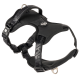 Schwarzes gepolstertes Hundegeschirr mit verstellbaren Riemen und Metall-D-Ringen, mit kleinem rundem Logo-Patch.