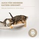 Zwei verspielte getigerte Katzen auf einem Wandregal. Text: "Für mehrere Katzen" und "Robuste Stabilität." Abzeichen: "Bis zu 35 kg."