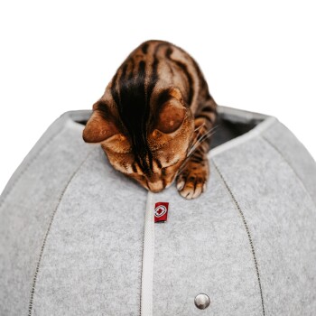 Eine Bengal-Katze sitzt auf einem weichen, grauen, runden Haustierbett und untersucht ein kleines rotes Etikett auf dem Bett.