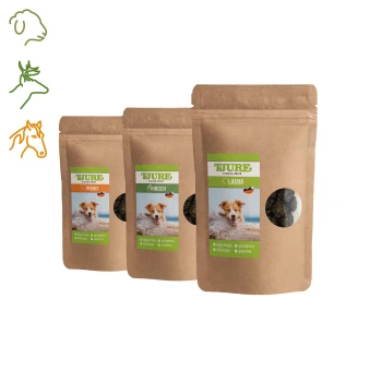 Drei Tüten Hundeleckerlis mit der Aufschrift "EJURE" in Grün, mit Geschmacksrichtungen: "Pferd", "Hirsch" und "Lamm", mit einem Hundebild auf jeder.