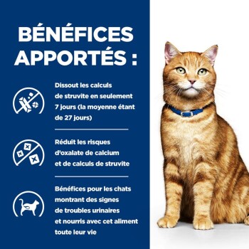 Image d'un chat tigré orange en bonne santé portant un collier bleu, avec un texte décrivant les avantages d'un régime alimentaire pour la santé urinaire des chats.