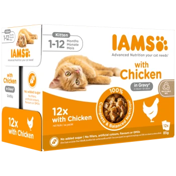 Opakowanie mokrej karmy IAMS dla kociąt z pomarańczowym kociakiem; oznaczenia: Chicken, 12x, 1-12 months, in Gravy, 100% complete nutrition.