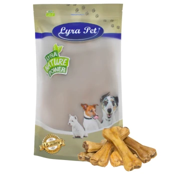Verpackung von Lyra-Hundeleckerlis mit dem Text "Lyra Nature Power" und Bildern eines Hundes und einer Katze, mit mehreren knochenförmigen Leckerlis davor.