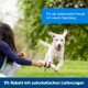 Eine Person und ein Hund spielen in einem grasbewachsenen Park mit einem lila Spielzeug. Text: "Für die wiederholte Freude am neuen Spielzeug" und "5% Rabatt."