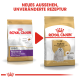 Bild von zwei Royal Canin-Tüten für Malteser-Erwachsene, die ein neues Design zeigen und den Text "NEUES AUSSEHEN, UNVERÄNDERTE REZEPTUR."