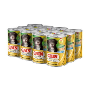 Cans of GAIN pet food featuring a dog on the label, with varieties including turkey, beef, lamb, and chicken in gravy.