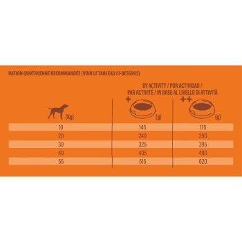 Guide d'alimentation quotidien pour chiens, montrant les quantités recommandées en grammes en fonction du poids (10-55 kg) et du niveau d'activité.