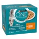 Purina ONE Katzenfutterbox für Erwachsene, mit einer grauen Katze, unterstützt natürliche Abwehrkräfte und Gelenkgesundheit, mit 24 x 85g Portionen.