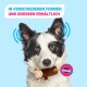 Schwarz-weißer Hund hält ein Plüschäffchen; rosa Abzeichen 'MIT ULTRASCHALL-QUITSCHER'; deutscher Text 'IN VERSCHIEDENEN FORMEN UND GRÖSSEN ERHÄLTLICH' auf blauem Hintergrund.