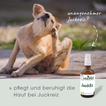 JuckEx 100 ml