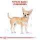 Illustration d'un chien Chihuahua avec un pelage brun clair, se tenant debout. Le texte au-dessus indique "TYPE DE RACE : CHIHUAHUA."