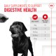 A black Labrador gazes at a hand with a treat. Text reads "Daily Supplements for Digestive Health" with a weight-based dosage chart.