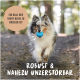 Ein flauschiger Collie läuft in einem Wald mit einem blauen Ball. Text: "Ein Ball der nicht klein zu kriegen ist" und "Robust & nahezu unzerstörbar."