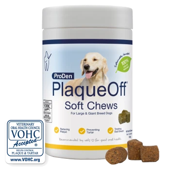 Jar of ProDen PlaqueOff Soft Chews for large/giant dogs, golden retriever image, 100% seaweed label, VOHC accepted badge.