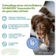 Hund kaut auf einem WHIMZEES-Zahnkausnack neben deutschem Text „Zahnpflege: WHIMZEES-Kausnacks für ein gesundes Lächeln“.