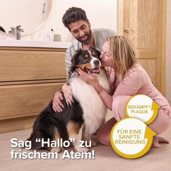 Paar kuschelt mit einem glücklichen Hund im Badezimmer mit Text "Sag 'Hallo' zu frischem Atem!" und Beschriftungen "Bekämpft Plaque" und "Für eine sanfte Reinigung".