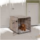 Ein brauner, flauschiger Hund sitzt in einer schwarzen Drahtkiste mit einem beigen Bezug, die auf einem hellen Teppich in einem Raum mit grünen Wänden steht.