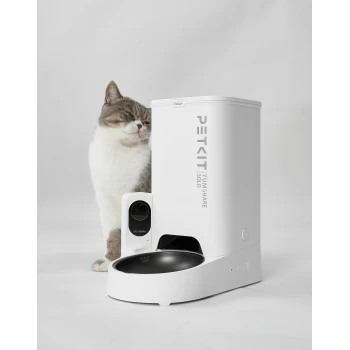 Graue und weiße Katze neben einem weißen PETKIT Yumshare Solo automatischen Futterspender mit eingebauter Kamera.