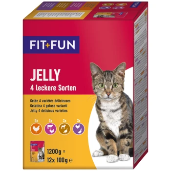 Eine bunte Haustierfutterbox mit einer getigerten Katze, gekennzeichnet mit 'FIT+FUN JELLY 4 leckere Sorten', was auf vier köstliche Varianten hinweist.