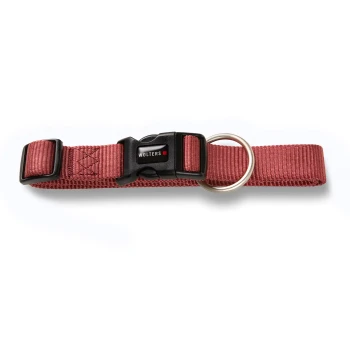 Professional Halsband Rotes verstellbares Hundehalsband mit schwarzer Kunststoffschnalle mit der Aufschrift „WOLTERS“ und einem silbernen Metallring.