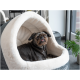 Ein kleiner, dunkelhaariger Hund mit einem neugierigen Ausdruck sitzt in einem gemütlichen, grauen Haustierbett, das mit weichem weißen Stoff ausgekleidet ist.
