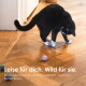 Eine verspielte getigerte Katze schlägt nach bunten Filzkugeln auf einem Holzboden, mit pinken, blauen, grünen und lila Kugeln, die verstreut sind.