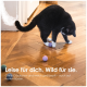 Eine verspielte getigerte Katze schlägt nach bunten Filzkugeln auf einem Holzboden, mit pinken, blauen, grünen und lila Kugeln, die verstreut sind.