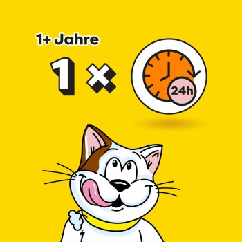 Cartoon-Katze mit einem glücklichen Gesichtsausdruck, Text "1+ Jahre" und "1 x 24h" auf einem leuchtend gelben Hintergrund.