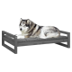Ein grau-weißer Husky-Hund, der auf einem modernen, flachen Hundebett mit einer gepolsterten grauen Matratze entspannt.