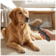 Golden retriever lying on a rug being groomed with a hair-filled slicker brush held by a hand