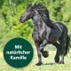Ein majestätisches schwarzes Pferd galoppiert auf einer üppigen grünen Wiese, mit einem kreisförmigen Textüberlagerung, der "Mit natürlicher Kamille" liest.