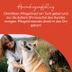 Anwendungsempfehlung: Ohrmilben-Pflegeöl auf ein Tuch geben und nur die äußere Ohrmuschel des Hundes reinigen.