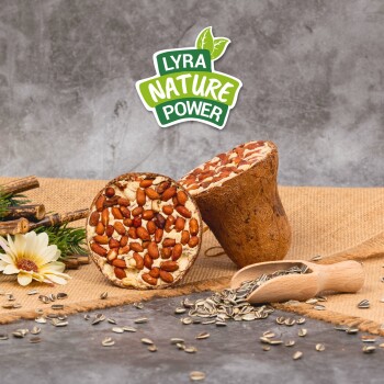 Zwei runde Nuss- und Saaten-Haustierleckerlis auf Jute, mit einem Holzlöffel und Sonnenblumenkernen in der Nähe, mit dem Logo "LYRA NATURE POWER" darüber.