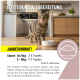 Getigerte Katze neben einer Schüssel in einer Küche mit deutschem Text 'Fütterung & Zubereitung', gelbem 'JAHRESVORRAT!' und Dosierung 'Katzen 3–5 Tropfen / 5–7 Tropfen'.