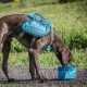 Zusammenklappbarer Futter- und Wassernapf für Hunde