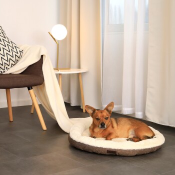 Ein gemütliches Hundebett mit einem braun-cremefarbenen Design, mit einem entspannten Hund, der darauf liegt, in einem modernen Wohnzimmer mit einem Stuhl und einer Lampe.