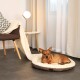 Ein gemütliches Hundebett mit einem braun-cremefarbenen Design, mit einem entspannten Hund, der darauf liegt, in einem modernen Wohnzimmer mit einem Stuhl und einer Lampe.