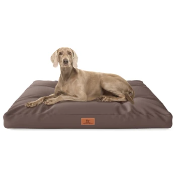 Ein hellbrauner Hund liegt bequem auf einem großen, plüschigen braunen Hundebett mit einem Lederetikett, auf dem "KNUFFELWUFF" steht.