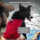 Ein schwarzer Hund, der eine rote Schwimmweste trägt, sitzt auf einem Paddleboard neben einem Mann. Text auf Deutsch hebt die Auftriebskraft und Merkmale der Schwimmweste hervor.